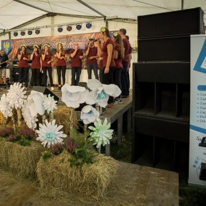 Roll-up